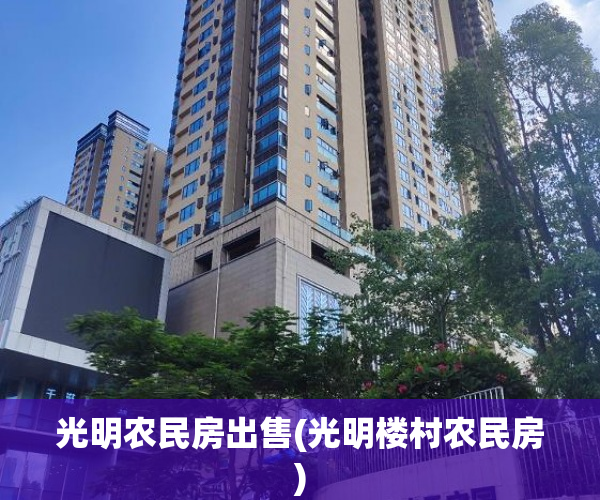光明农民房出售(光明楼村农民房) 光明农民房出售(光明楼村农民房)