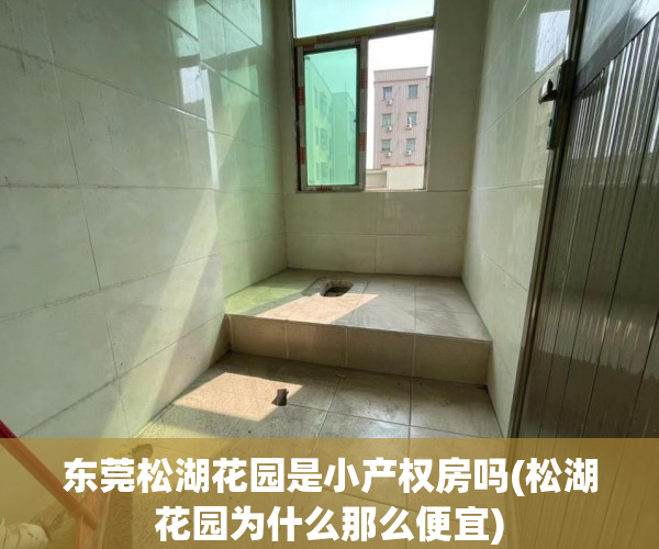 东莞松湖花园是小产权房吗(松湖花园为什么那么便宜) 东莞松湖花园是小产权房吗(松湖花园为什么那么便宜)