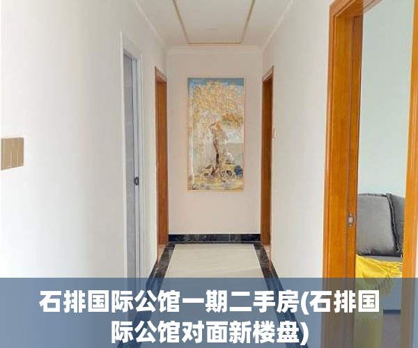 石排国际公馆一期二手房(石排国际公馆对面新楼盘)