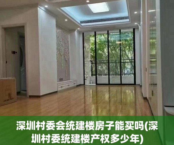 深圳村委会统建楼房子能买吗(深圳村委统建楼产权多少年) 深圳村委会统建楼房子能买吗(深圳村委统建楼产权多少年)
