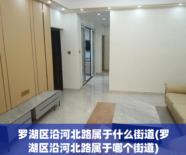 罗湖区沿河北路属于什么街道(罗湖区沿河北路属于哪个街道) 罗湖区沿河北路属于什么街道(罗湖区沿河北路属于哪个街道)