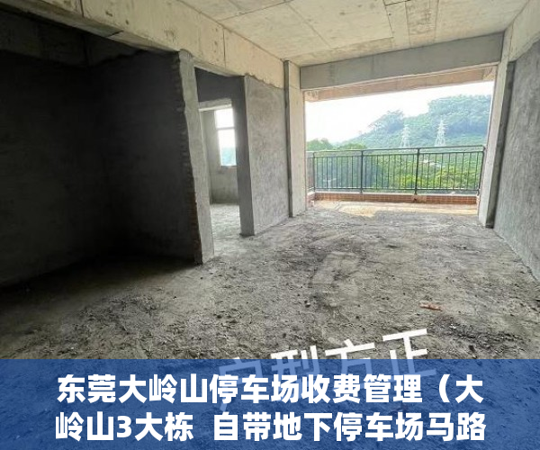 东莞大岭山停车场收费管理（大岭山3大栋  自带地下停车场马路第一排  御景  山居  ）小产权房施工手续多久能办好，