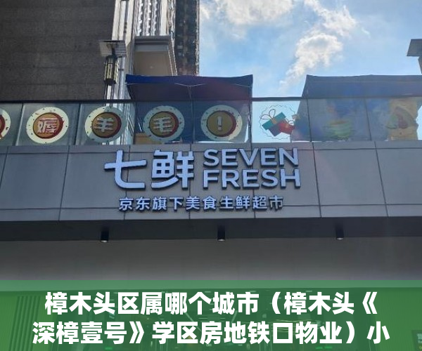 樟木头区属哪个城市（樟木头《深樟壹号》学区房地铁口物业）小产权侵占怎么办，