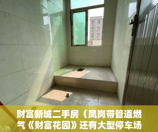 财富新城二手房（凤岗带管道燃气《财富花园》还有大型停车场 ）小产权的房子怎么过户，
