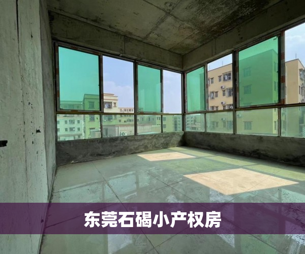 东莞石碣小产权房 东莞石碣小产权房