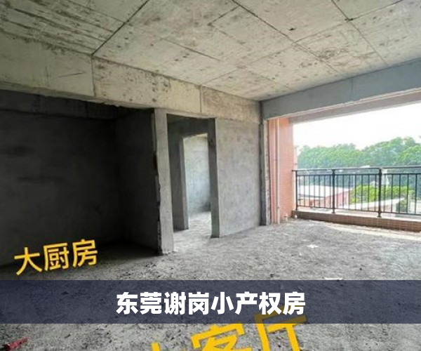东莞谢岗小产权房 东莞谢岗小产权房
