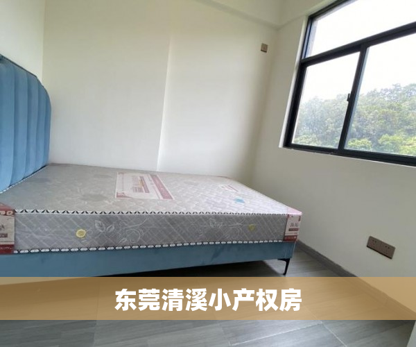 东莞清溪小产权房 东莞清溪小产权房