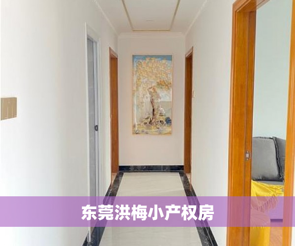 东莞洪梅小产权房 东莞洪梅小产权房