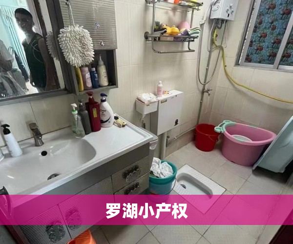 罗湖小产权