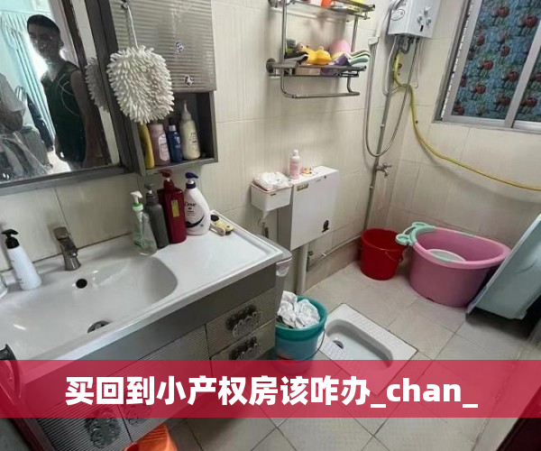 买回到小产权房该咋办_chan_