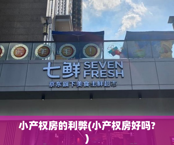 小产权房的利弊(小产权房好吗?)