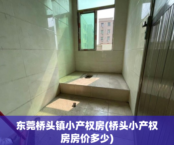 东莞桥头镇小产权房(桥头小产权房房价多少)
