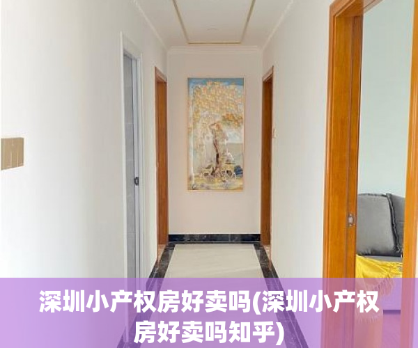 深圳小产权房好卖吗(深圳小产权房好卖吗知乎) 深圳小产权房好卖吗(深圳小产权房好卖吗知乎)