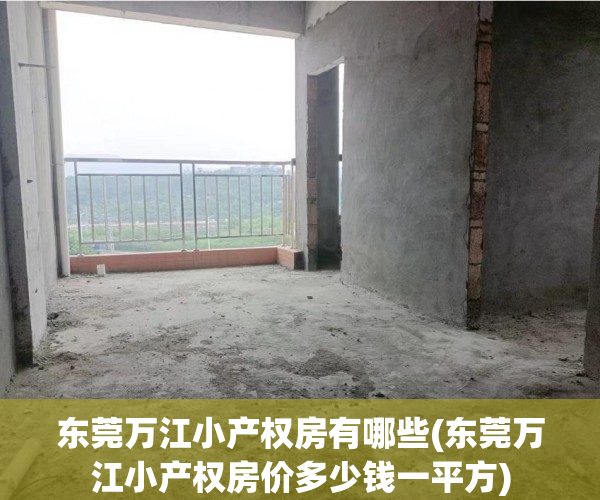 东莞万江小产权房有哪些(东莞万江小产权房价多少钱一平方)