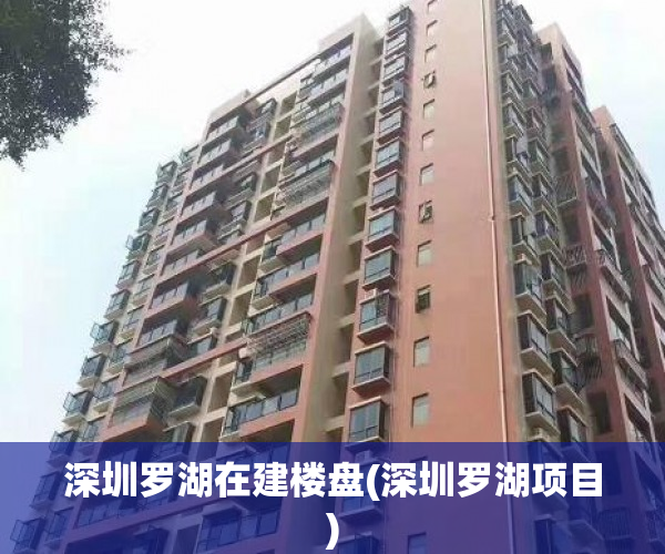 深圳罗湖在建楼盘(深圳罗湖项目) 深圳罗湖在建楼盘(深圳罗湖项目)
