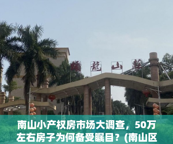 南山小产权房市场大调查，50万左右房子为何备受瞩目？(南山区小产权)