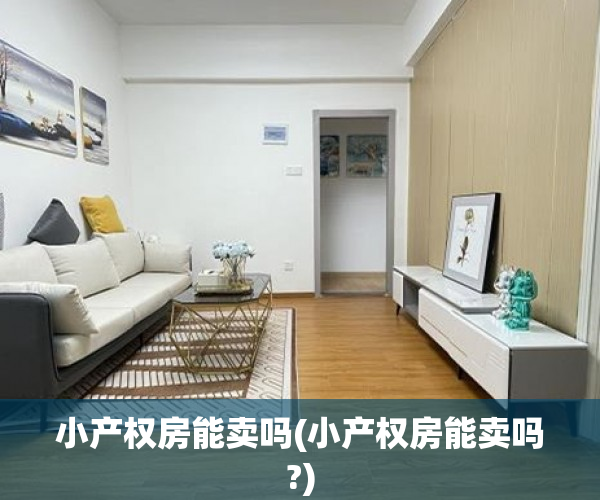 小产权房能卖吗(小产权房能卖吗?) 小产权房能卖吗(小产权房能卖吗?)