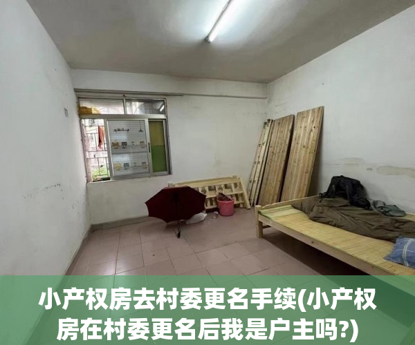 小产权房去村委更名手续(小产权房在村委更名后我是户主吗?)