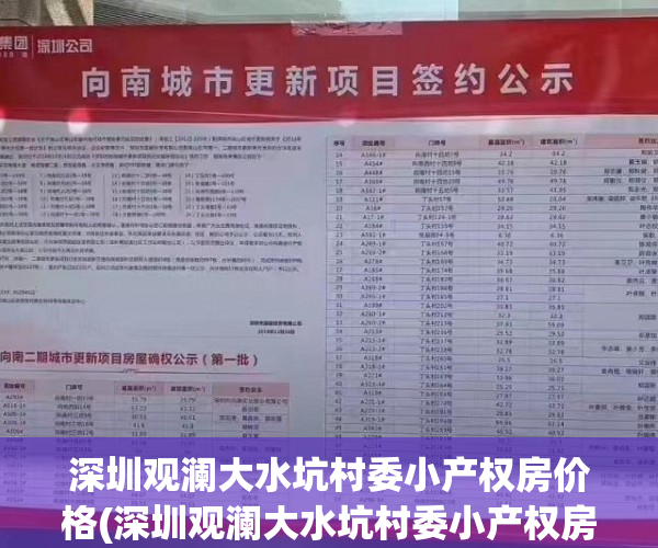深圳观澜大水坑村委小产权房价格(深圳观澜大水坑村委小产权房价格多少)