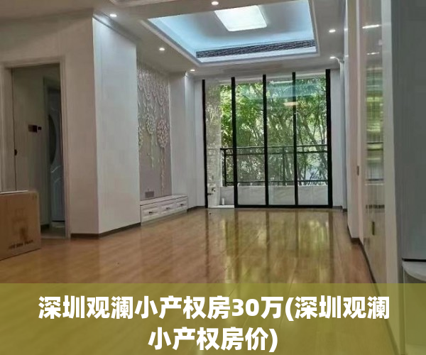 深圳观澜小产权房30万(深圳观澜小产权房价)