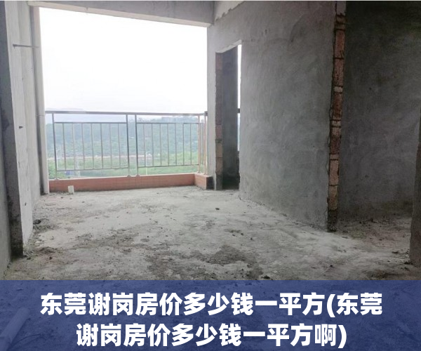 东莞谢岗房价多少钱一平方(东莞谢岗房价多少钱一平方啊) 东莞谢岗房价多少钱一平方(东莞谢岗房价多少钱一平方啊)