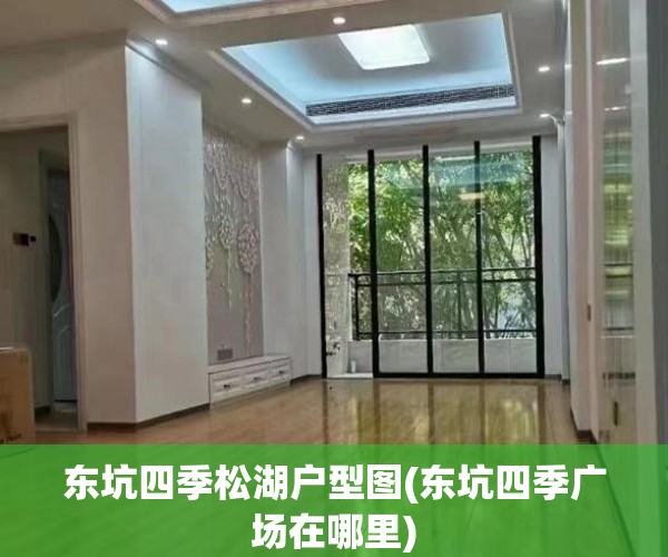 东坑四季松湖户型图(东坑四季广场在哪里)