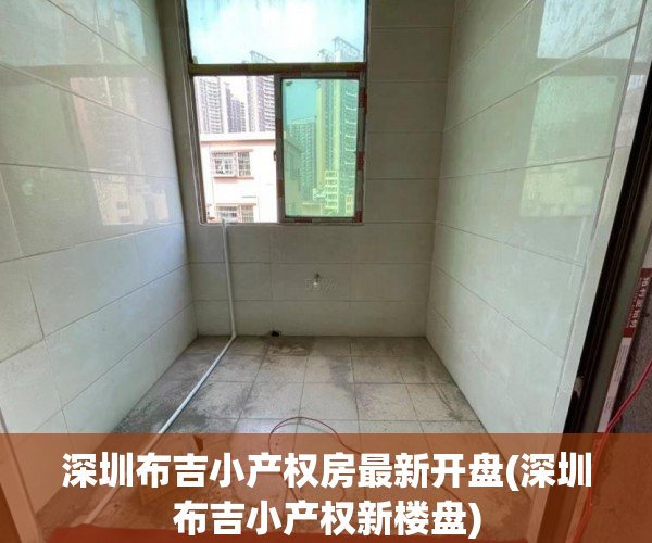 深圳布吉小产权房最新开盘(深圳布吉小产权新楼盘)