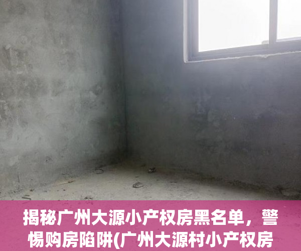 揭秘广州大源小产权房黑名单，警惕购房陷阱(广州大源村小产权房违建拆除)