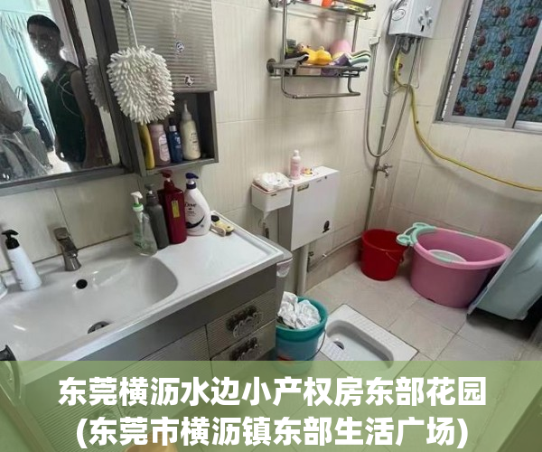 东莞横沥水边小产权房东部花园(东莞市横沥镇东部生活广场) 东莞横沥水边小产权房东部花园(东莞市横沥镇东部生活广场)