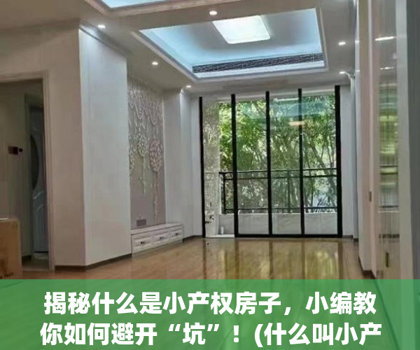 揭秘什么是小产权房子，小编教你如何避开“坑”！(什么叫小产权房呀)