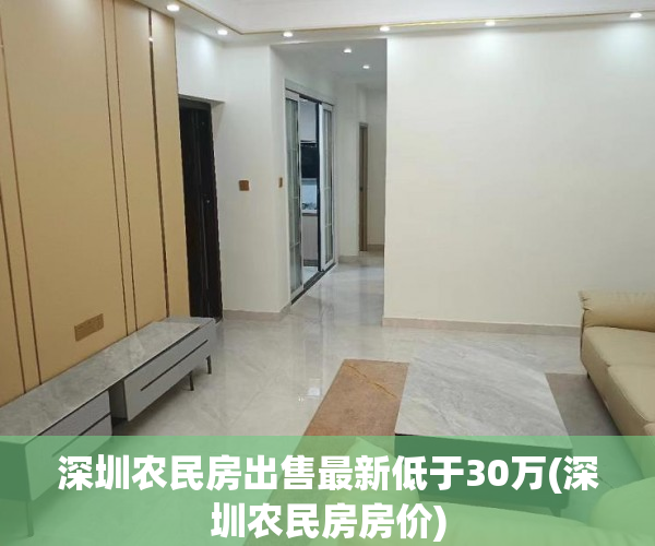 深圳农民房出售最新低于30万(深圳农民房房价)