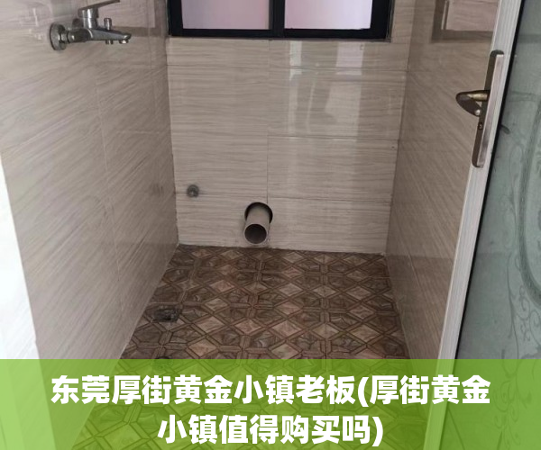 东莞厚街黄金小镇老板(厚街黄金小镇值得购买吗)