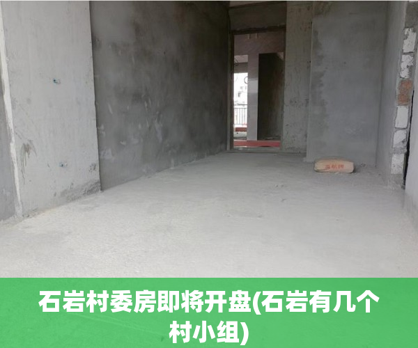 石岩村委房即将开盘(石岩有几个村小组) 石岩村委房即将开盘(石岩有几个村小组)