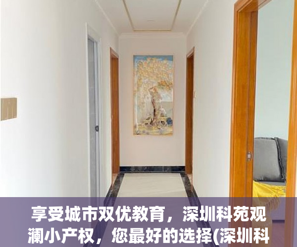 享受城市双优教育，深圳科苑观澜小产权，您最好的选择(深圳科苑观澜房价)