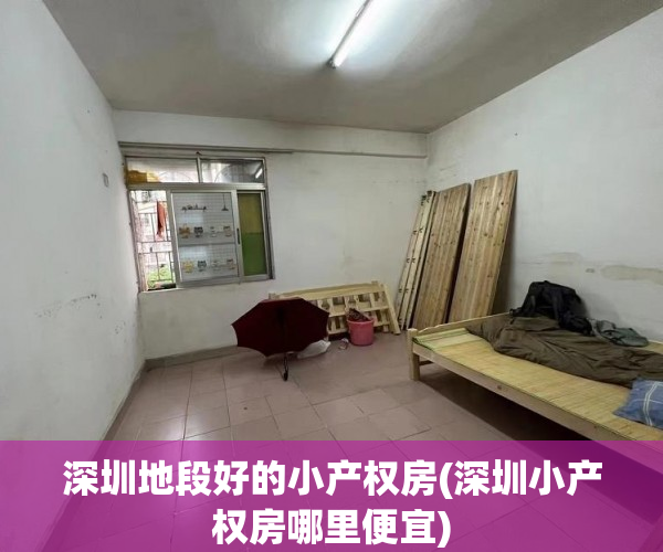 深圳地段好的小产权房(深圳小产权房哪里便宜)