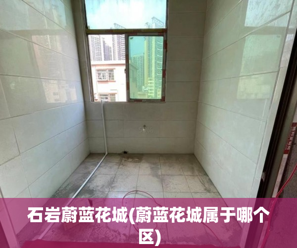 石岩蔚蓝花城(蔚蓝花城属于哪个区)