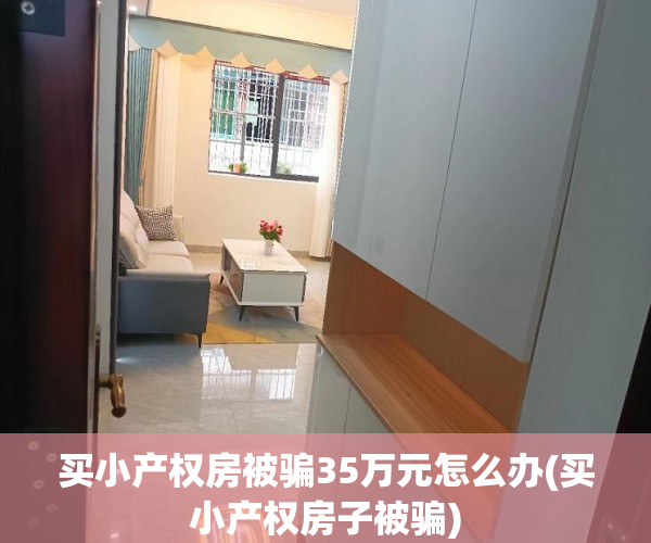 买小产权房被骗35万元怎么办(买小产权房子被骗)
