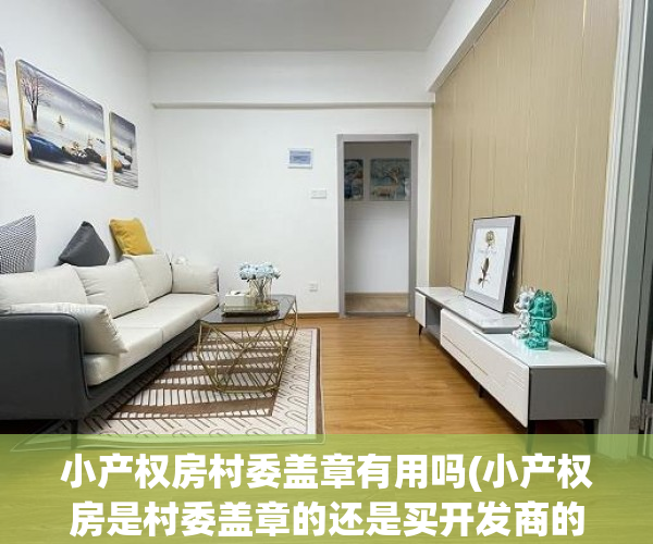 小产权房村委盖章有用吗(小产权房是村委盖章的还是买开发商的)