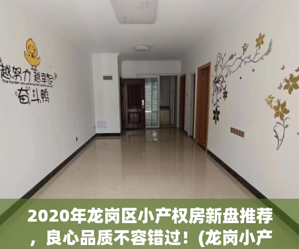 2020年龙岗区小产权房新盘推荐，良心品质不容错过！(龙岗小产权房高品质值得信赖)