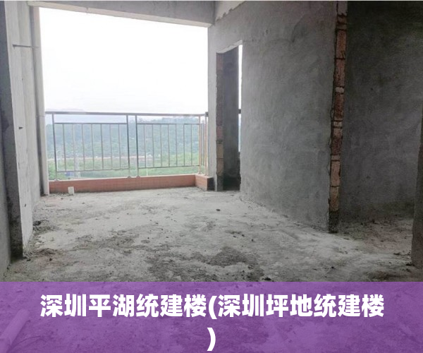 深圳平湖统建楼(深圳坪地统建楼) 深圳平湖统建楼(深圳坪地统建楼)