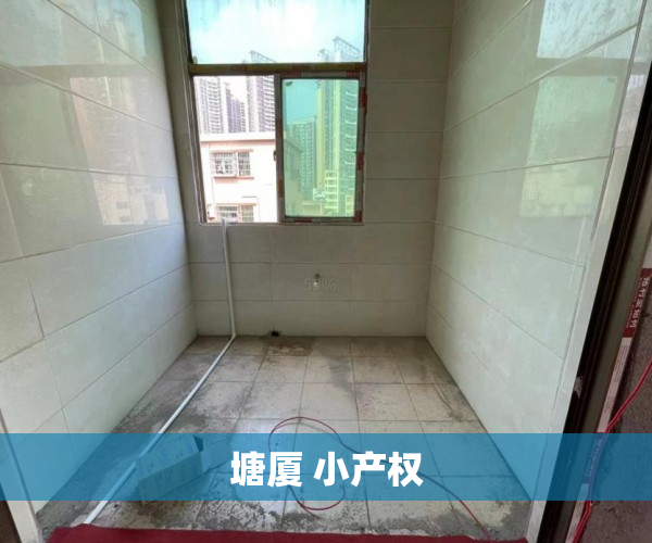 塘厦 小产权 塘厦 小产权