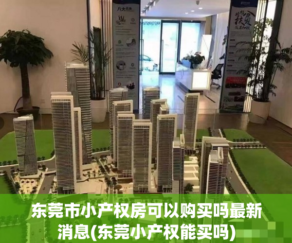 东莞市小产权房可以购买吗最新消息(东莞小产权能买吗)