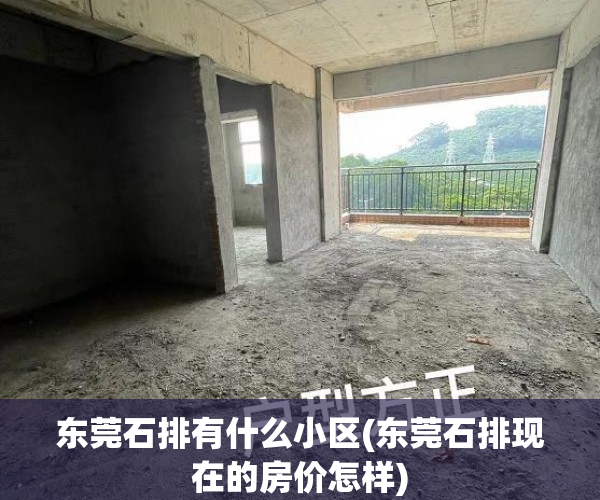 东莞石排有什么小区(东莞石排现在的房价怎样) 东莞石排有什么小区(东莞石排现在的房价怎样)