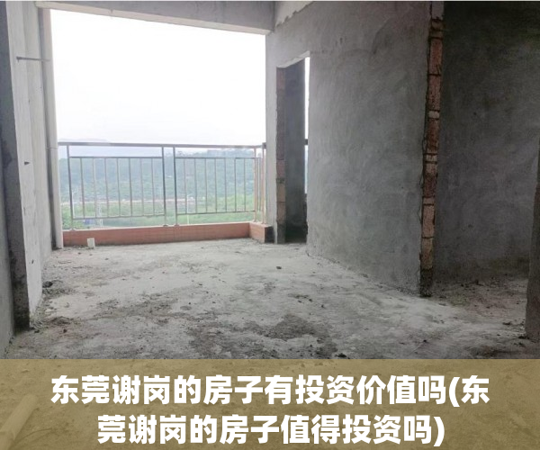 东莞谢岗的房子有投资价值吗(东莞谢岗的房子值得投资吗) 东莞谢岗的房子有投资价值吗(东莞谢岗的房子值得投资吗)