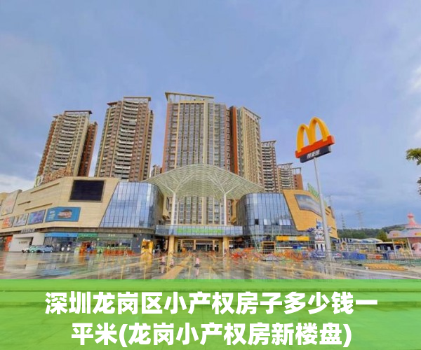深圳龙岗区小产权房子多少钱一平米(龙岗小产权房新楼盘)