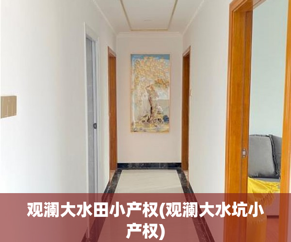 观澜大水田小产权(观澜大水坑小产权)