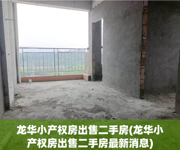 龙华小产权房出售二手房(龙华小产权房出售二手房最新消息)