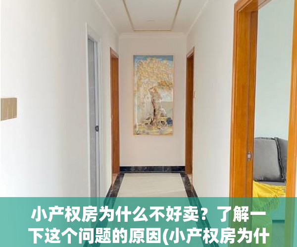 小产权房为什么不好卖？了解一下这个问题的原因(小产权房为什么不能买?有什么风险吗)
