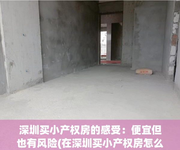 深圳买小产权房的感受：便宜但也有风险(在深圳买小产权房怎么样)