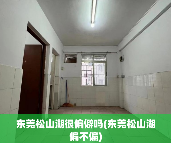 东莞松山湖很偏僻吗(东莞松山湖偏不偏)